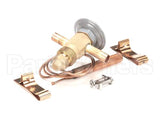 3516577 Delfield Thermo Expansion Valve Fbj-1/4-C 3/8X3/8