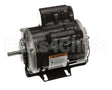 356450 Accurex Motor, 1/3 Hp D13Cpa2P49