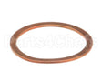 36240005 Rancilio Gasket Exchanger