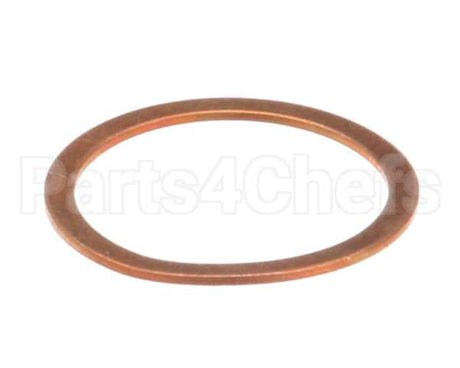 36240005 Rancilio Gasket Exchanger