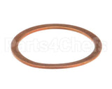 36240005 Rancilio Gasket Exchanger