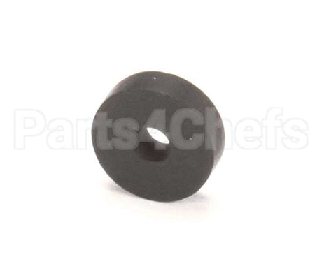 36302002 Rancilio Gasket Past Valve