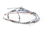 36677.0016 Bunn Wiring Harness, Itcb 208V