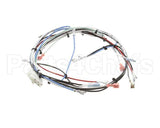 36677.0016 Bunn Wiring Harness, Itcb 208V