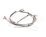 36677.0024 Bunn Wiring Harness, Itcb Mcd