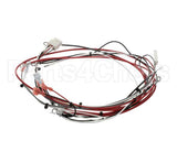 36849.0002 Bunn Wiring Harness, Power Dunkin Hwb
