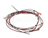 36849.0002 Bunn Wiring Harness, Power Dunkin Hwb