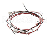 36849.0002 Bunn Wiring Harness, Power Dunkin Hwb
