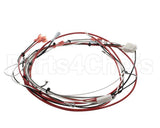 36849.0002 Bunn Wiring Harness, Power Dunkin Hwb