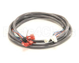 36888.0002 Bunn Wiring Harn, Door Imix Th