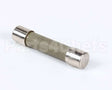 369014 Lincoln Fuse 10 Amp