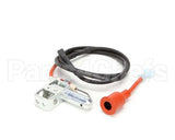 369076 Lincoln Burner Ignitor 4070534