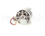 369759 Lincoln Motor 50Hz 220/240