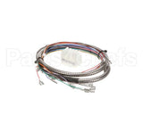 37133 Blodgett Harness, Manifold Meat Probe