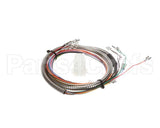 37133 Blodgett Harness, Manifold Meat Probe