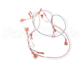 37334 Blodgett Harness, Infinite Add-In