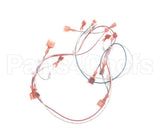 37334 Blodgett Harness, Infinite Add-In