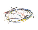 37401.0000 Bunn Wiring Harness Main