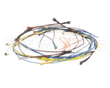 37401.0000 Bunn Wiring Harness Main