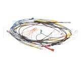 37401.0000 Bunn Wiring Harness Main