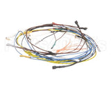 37401.0000 Bunn Wiring Harness Main