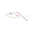 37519 Compatible Blodgett Probe, Rtd 1000 Ohm (Iq2 -Pro3)