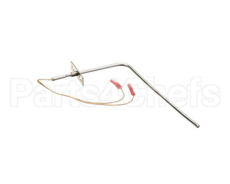 37519 Blodgett Probe, Rtd 1000 Ohm (Iq2-Pro3)