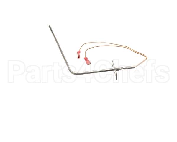 37519 Blodgett Probe, Rtd 1000 Ohm (Iq2-Pro3)