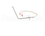 37519 Blodgett Probe, Rtd 1000 Ohm (Iq2-Pro3)