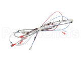 38040.0014 Bunn Wiring Harness, Main Icb Sh