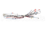 38040.0014 Bunn Wiring Harness, Main Icb Sh