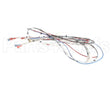 38040.0028 Bunn Wiring Harness, Main Icb Sh