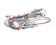 38040.0029 Bunn Wiring Harness, Main Icb Twin Sh