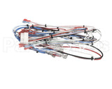 38040.0029 Bunn Wiring Harness, Main Icb Twin Sh