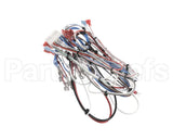 38040.0029 Bunn Wiring Harness, Main Icb Twin Sh