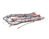 38040.0029 Bunn Wiring Harness, Main Icb Twin Sh