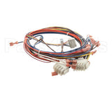 38607 Blodgett Harness, Ssd Front Bob