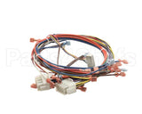 38607 Blodgett Harness, Ssd Front Bob