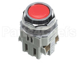 38937.0000 Duke Buttonpush Red No Nc