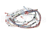 38940.0005 Bunn Wiring Harness, Main Imix-5S