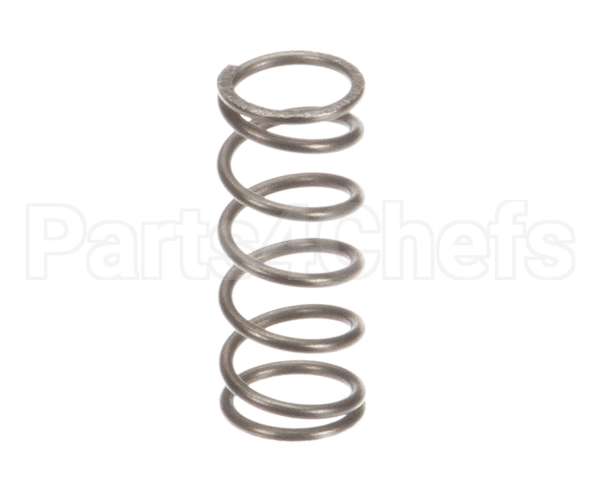 39110035 Rancilio Water-Steam Cock Spring