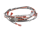 39234 Blodgett Harness,Sh1G/Ab,Control 24V