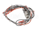 39234 Blodgett Harness,Sh1G/Ab,Control 24V