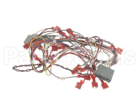 39236 Blodgett Harness,Rear