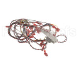 39236 Blodgett Harness,Rear