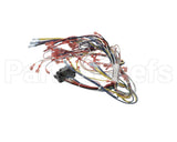39836 Blodgett Harness, Infinite Wire