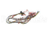 39836 Blodgett Harness, Infinite Wire