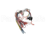 39836 Blodgett Harness, Infinite Wire