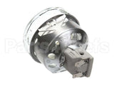 39995-7 Montague Light Assembly W/Bulb / Socket240V