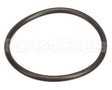 4010-01539 Insinger O-Ring, Drain Valve Body Seat(